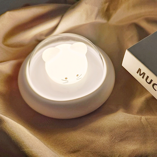 Student Eyeguard Reading Lamp Usb Charged Cute Table Led Small Desk Lamp Decorative Night Light