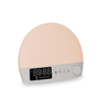 Modern Usb Novel Portable Multi-function Touch Multicolour Phototherapy Decorative Desk Lamp Night Light