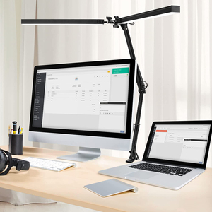America Metal Aluminium Double Head Led Desk Lamp Clip Clamp Eye Protection Two Heads Lighting Computer Screen Light Table Architect Long Arm Reading Lamp with Adapter for Office Working Design
