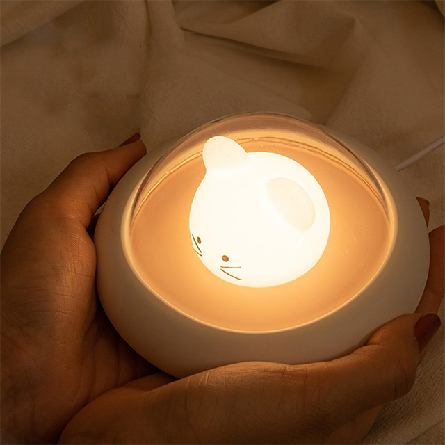 Portable Usb Lighting Lightness Acrylic Modern Cute Small Led Bedside Decorative Desk Lamp Night Lights