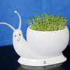 Led Lamp High Quality Night Cute Lamps Colorful With Decorative Snail White Desk Lamp Night Lights