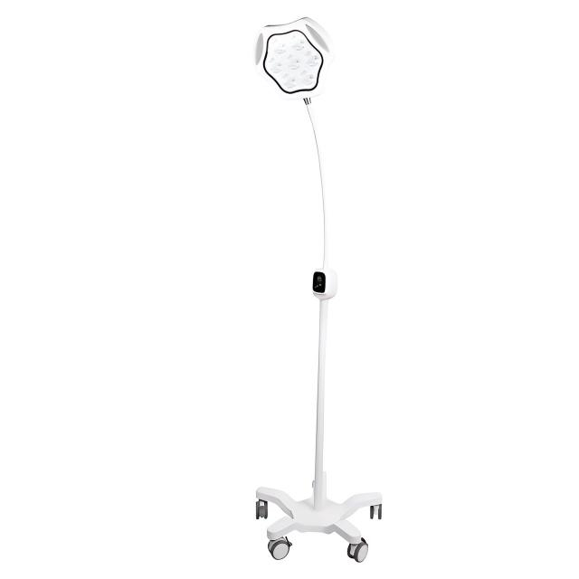 Brightness Adjust & Height Adjust Medical LED Shadowless Floor Standing Metal Mobile Hospital Examination Lamp Operating Light