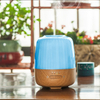Small Cute Usb Lighted Led Bedroom Modern Portable Decorative Aromatherapy Desk Lamp Night Lamp 